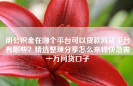用公积金在哪个平台可以贷款网贷平台有哪些？精选整理分享怎么来钱快急需一万网贷口子