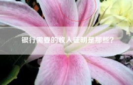 银行需要的收入证明是那些？