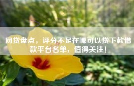 网贷盘点，评分不足在哪可以贷下款借款平台名单，值得关注！