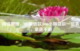 精选整理，小额借款3000小额贷款一览表，拿走不谢