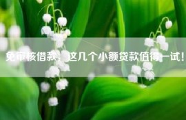 免审核借款，这几个小额贷款值得一试！