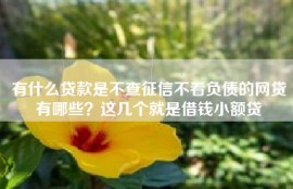 有什么贷款是不查征信不看负债的网贷有哪些？这几个就是借钱小额贷