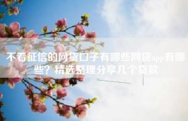 不看征信的网贷口子有哪些网贷app有哪些？精选整理分享几个贷款