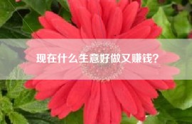 现在什么生意好做又赚钱？