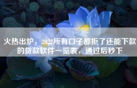 火热出炉，2022所有口子都拒了还能下款的贷款软件一览表，通过后秒下