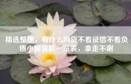 精选整理，有什么网贷不看征信不看负债小额贷款一览表，拿走不谢