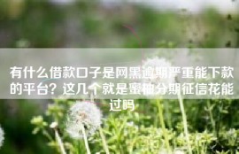 有什么借款口子是网黑逾期严重能下款的平台？这几个就是蜜柚分期征信花能过吗