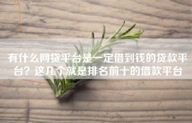 有什么网贷平台是一定借到钱的贷款平台？这几个就是排名前十的借款平台