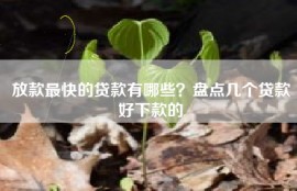 放款最快的贷款有哪些？盘点几个贷款好下款的