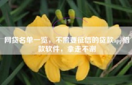 网贷名单一览，不需要征信的贷款app借款软件，拿走不谢