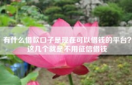 有什么借款口子是现在可以借钱的平台？这几个就是不用征信借钱