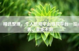 精选整理，个人信用平台借款平台一览表，拿走不谢