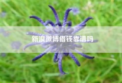 新浪微博借钱靠谱吗