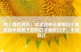 网上借钱被拒，试试这些无视黑白无视征信申请就下款的口子借款口子，不容错过