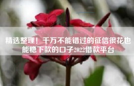 精选整理！千万不能错过的征信很花也能稳下款的口子2022借款平台