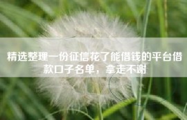 精选整理一份征信花了能借钱的平台借款口子名单，拿走不谢