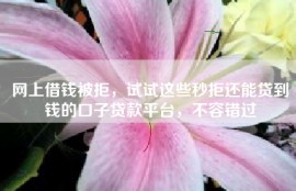 网上借钱被拒，试试这些秒拒还能贷到钱的口子贷款平台，不容错过