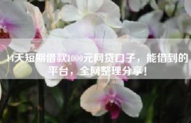 14天短期借款1000元网贷口子，能借到的平台，全网整理分享！