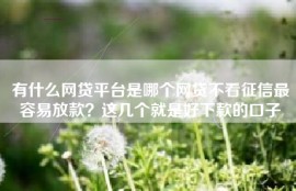 有什么网贷平台是哪个网贷不看征信最容易放款？这几个就是好下款的口子