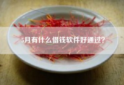 5月有什么借钱软件好通过？