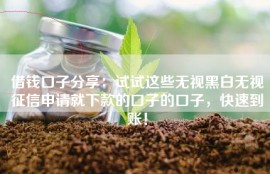 借钱口子分享：试试这些无视黑白无视征信申请就下款的口子的口子，快速到账！