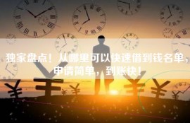 独家盘点！从哪里可以快速借到钱名单，申请简单，到账快！