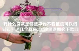 有什么贷款是哪些平台不看征信可以借到钱？这几个就是2022双黑逾期必下款口子