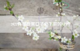 2022有哪些黑口子必下款的APP？