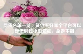 网贷名单一览，征信不好哪个平台可以一定借到钱小额贷款，拿走不谢