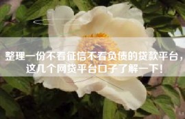 整理一份不看征信不看负债的贷款平台，这几个网贷平台口子了解一下！