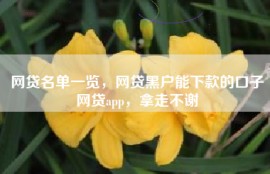 网贷名单一览，网贷黑户能下款的口子网贷app，拿走不谢
