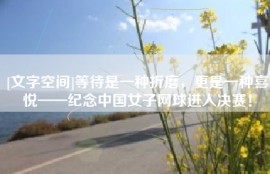 [文字空间]等待是一种折磨，更是一种喜悦——纪念中国女子网球进入决赛！