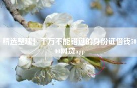 精选整理！千万不能错过的身份证借钱5000网贷app