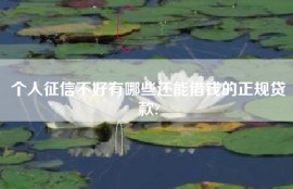 个人征信不好有哪些还能借钱的正规贷款?