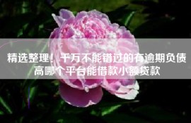 精选整理！千万不能错过的有逾期负债高哪个平台能借款小额贷款