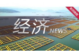 10秒到账！上海银行“担保基金快贷”缓解疫情下企业资金压力