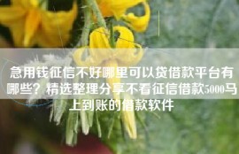 急用钱征信不好哪里可以贷借款平台有哪些？精选整理分享不看征信借款5000马上到账的借款软件
