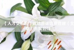 【人才交流园】宜信普诚信用管理（北京）有限公司
