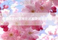 贷款过农村信用社还能贷其他银行的么