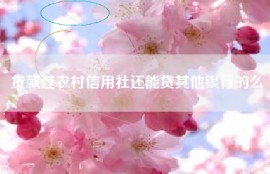 贷款过农村信用社还能贷其他银行的么