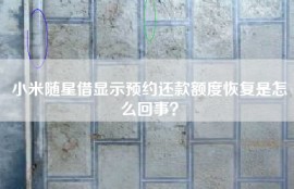 小米随星借显示预约还款额度恢复是怎么回事？