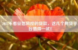 2022不看征信风控的贷款，这几个网贷平台值得一试！