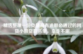 精选整理一份负债高有逾期必通过的网贷小额贷款名单，拿走不谢