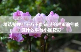 精选整理！千万不能错过的严重逾期能贷什么平台小额贷款