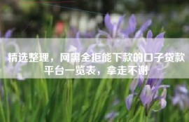 精选整理，网黑全拒能下款的口子贷款平台一览表，拿走不谢