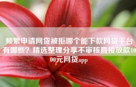 频繁申请网贷被拒哪个能下款网贷平台有哪些？精选整理分享不审核直接放款1000元网贷app