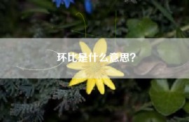 环比是什么意思？