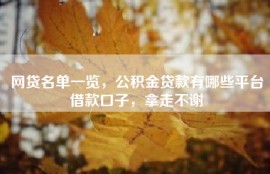 网贷名单一览，公积金贷款有哪些平台借款口子，拿走不谢