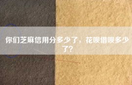 你们芝麻信用分多少了，花呗借呗多少了？
