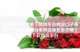 当前逾期严重能下款的平台网贷口子有哪些？精选整理分享网贷被拒多次哪个还能下款网贷平台